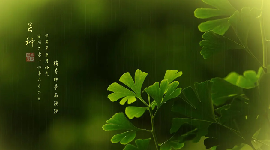 芒種時(shí)節(jié)！金環(huán)電器提醒大家的注意事項(xiàng)