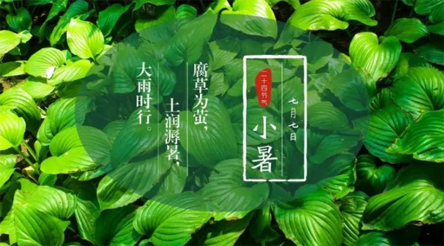 小暑時節(jié)來到！金環(huán)電器提醒大家要注意的事項